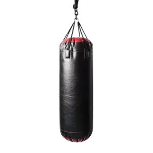 Punching bag