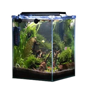 Fish tank